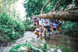 BIB: 
                            <button type="button" onclick="openModal(25469905)" class="btn btn-primary btn-sm float-right btn-popup" data-toggle="modal" data-target=".modal-high-quality">
                        <i class="fas fa-shopping-cart"></i> Add to Cart
                    </button>
                                            <button type="button" onclick="isThisMe(25469905, true)" class="btn btn-success btn-sm float-right btn-popup btn-isme hidden" data-toggle="tooltip" data-placement="bottom" title="นี่คือรูปของคุณใช่ไหม คลิกที่นี่เพื่อเอาเข้าอัลบั้ม">
                        <i class="fas fa-plus"></i> Add to album
                    </button>
                    <button type="button" onclick="isThisMe(25469905, false)" class="btn btn-warning btn-sm float-right btn-popup btn-isnotme hidden">
                        <i class="fas fa-ban"></i> Remove from album
                    </button>